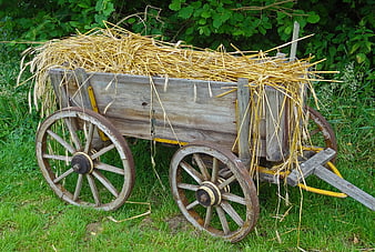 Vintage wooden hay cart loaded with straw in a green field