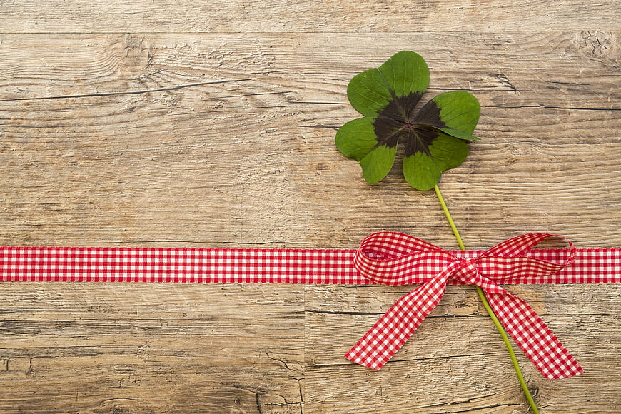 Four-leaf clover with red gingham ribbon on rustic wood