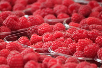 Fresh Raspberries in Clear Plastic Containers