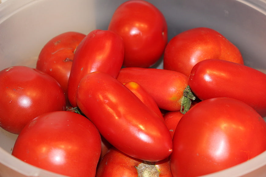 Fresh Red Tomatoes in a White Bowl