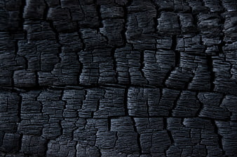 Close-up texture of charred black burnt wood surface