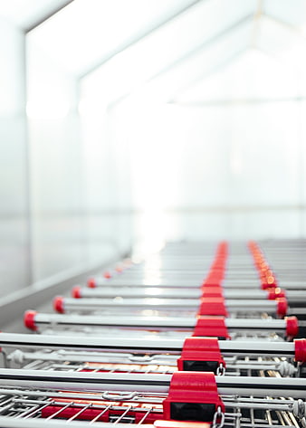 Rows of red and silver shopping carts in a bright supermarket aisle