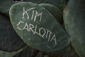 Kim Carlota carved into prickly pear cactus pad