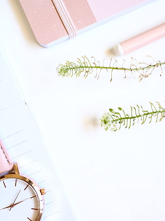 Minimalist Pink Flat Lay With Watch, Notebook, Pen, And Dried Flowers