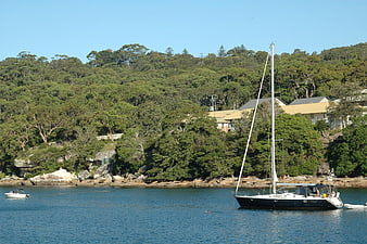 Sailboat anchored in calm blue bay with green forested hills