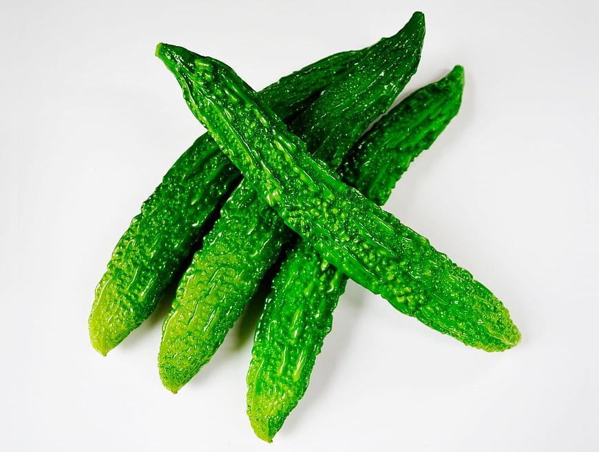 Fresh Green Bitter Melons Arranged on White Background