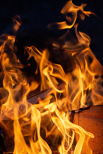 Close-up of vibrant orange flames burning on wood logs