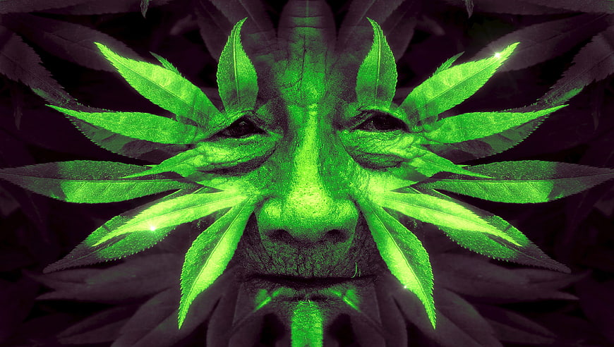 Surreal Green Face Portrait With Cannabis Leaf Hair
