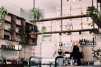 Rustic Cafe Interior with Hanging Plants and Barista
