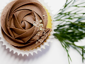Close-up of chocolate cupcake with frosting and green garnish