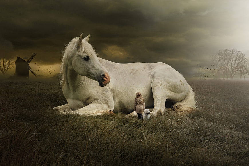 White horse lying in field with child and dog at dusk