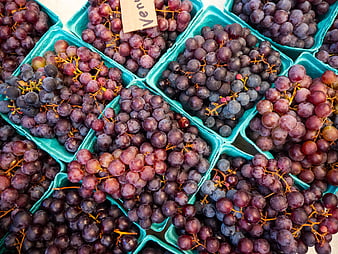 Fresh Purple Grapes in Blue Trays at Farmers Market