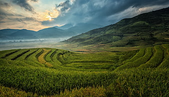 Misty Green Rice Terraces in Mountain Valley at Sunrise