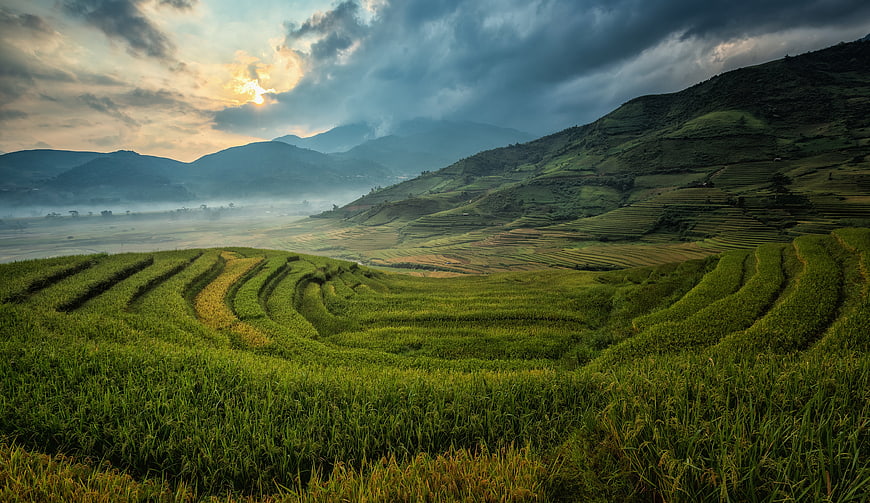 Misty Green Rice Terraces in Mountain Valley at Sunrise