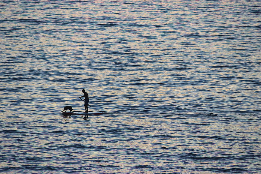 Silhouette of Man and Dog Paddleboarding on Ocean at Sunset