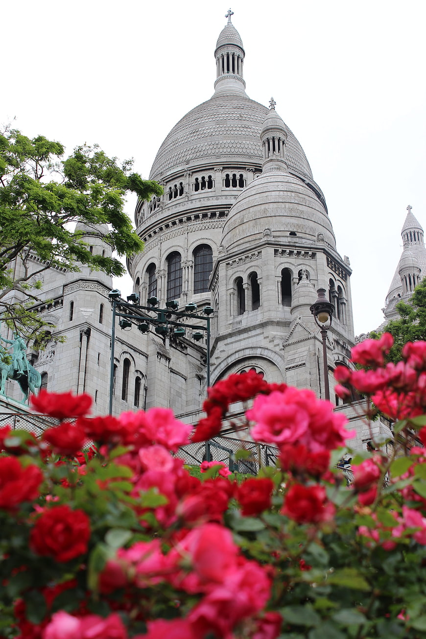 Sacré-Cœur Basilica in Paris with Red Roses Foreground