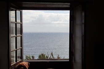 Open wooden window with sea view and coastal plants