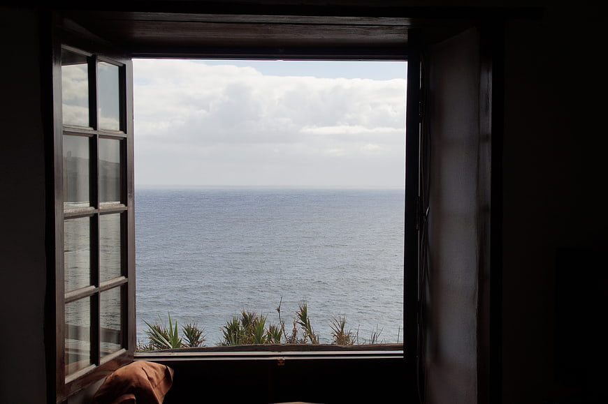 Open wooden window with sea view and coastal plants