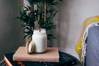 Cozy Home Interior with Candle, Books, and Plant