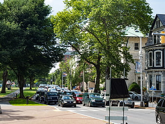 Busy Urban Street with Traffic and Historic Buildings