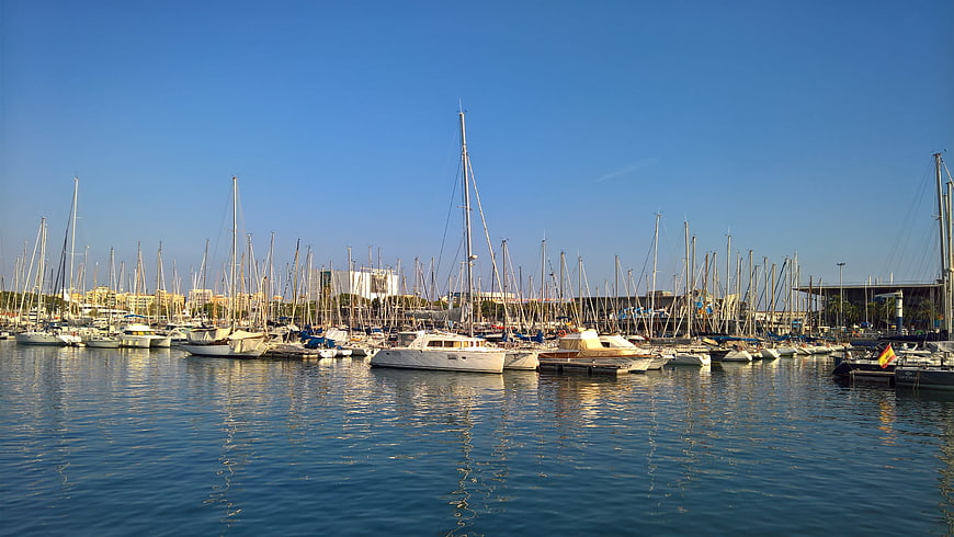 Sailboats docked in a sunny marina with blue sky