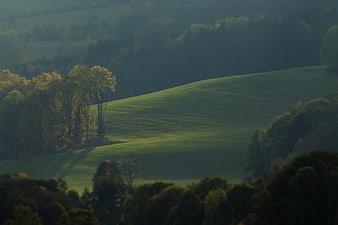 Misty Green Rolling Hills Landscape With Trees