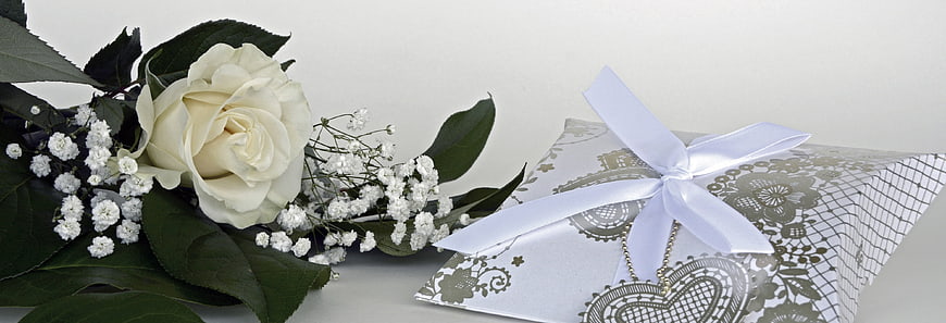 White Rose and Gift Box with Ribbon on White Background