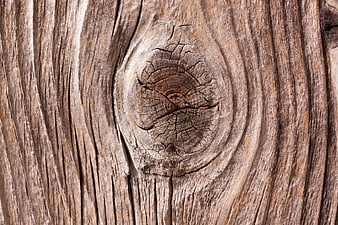 Closeup of Weathered Wood Knot Texture