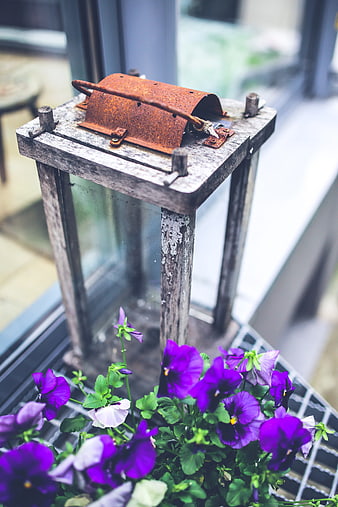 Rustic wooden lantern with purple pansies on balcony