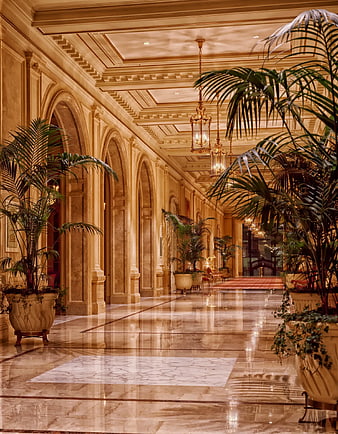 Luxurious hotel hallway with marble floors and palm trees