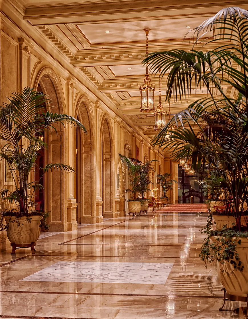 Luxurious hotel hallway with marble floors and palm trees