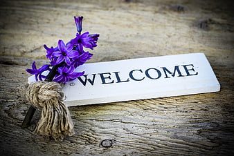 Rustic Welcome Sign With Purple Hyacinth Flowers On Weathered Wood