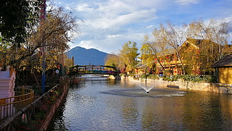 Scenic River Canal with Bridge and Traditional Buildings in Autumn