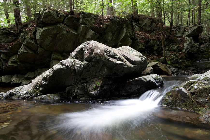Serene Forest Stream Flowing Over Mossy Rocks