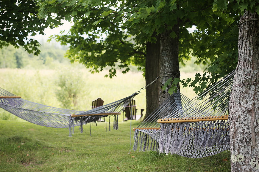Relaxing Hammocks Hanging Between Trees in Green Summer Meadow