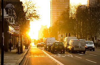 Golden hour traffic on London street with bus stop