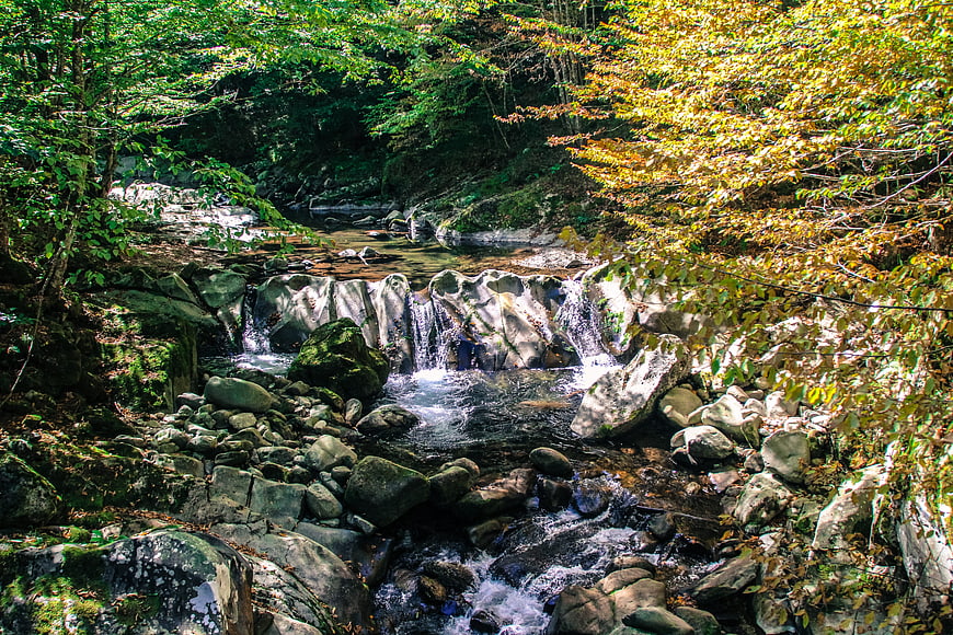 Scenic forest stream with cascading waterfall and autumn foliage