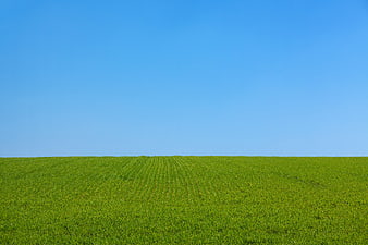 Vibrant Green Field Under Clear Blue Sky