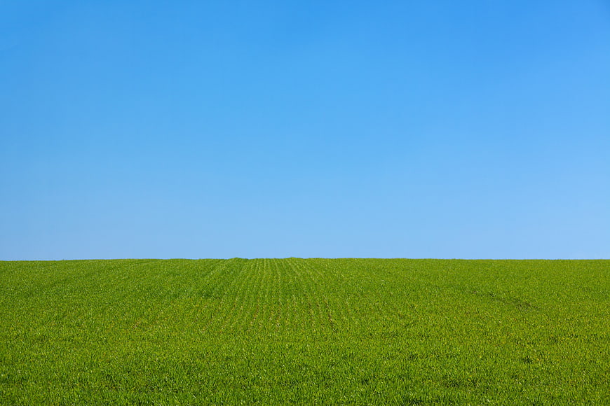Vibrant Green Field Under Clear Blue Sky