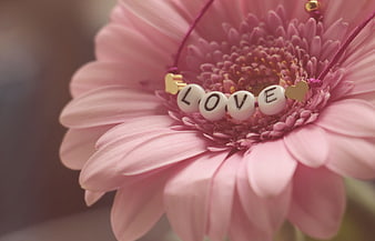Pink Gerbera Daisy with Love Beaded Bracelet