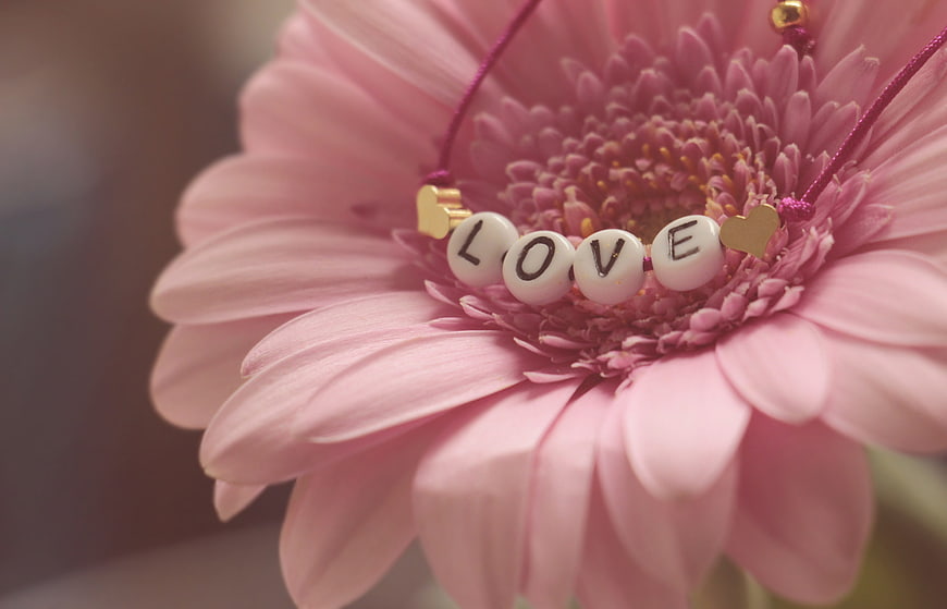 Pink Gerbera Daisy with Love Beaded Bracelet