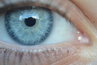 Extreme Macro Close-Up of a Blue Human Eye