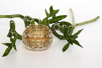 Glass Candle Holder with Lucky Bamboo on White Background