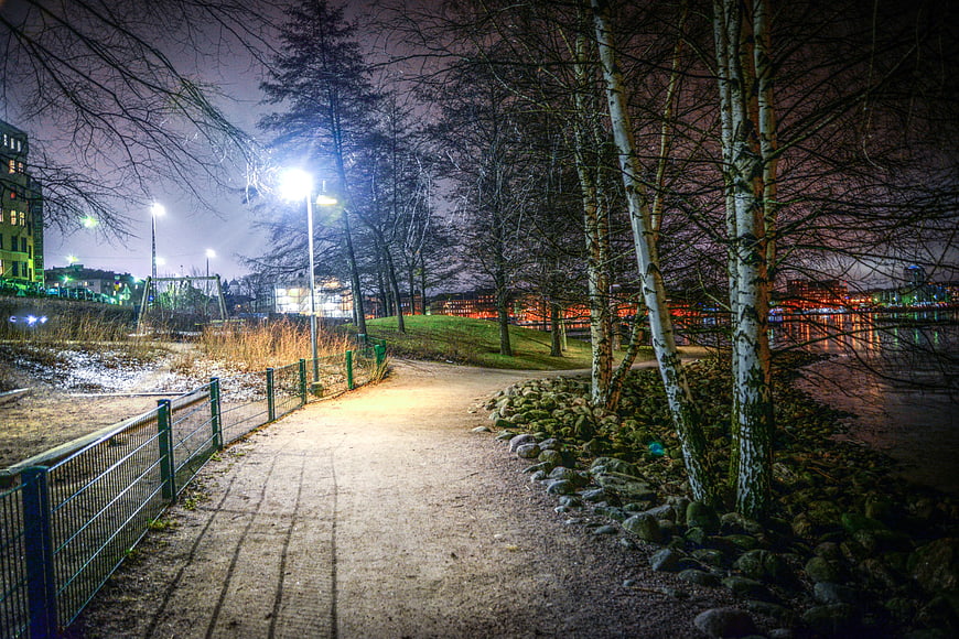 Nighttime park path with birch trees and city lights