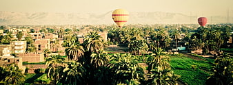 Hot Air Balloons Over Palm Trees and Mountains