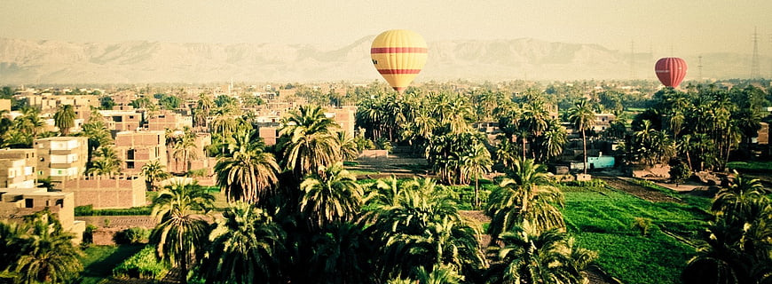 Hot Air Balloons Over Palm Trees and Mountains