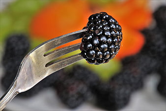 Fresh Blackberry on Fork with Blurred Fruit Background