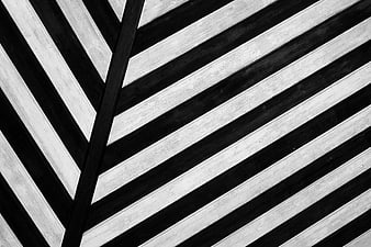 Abstract black and white diagonal wood plank pattern