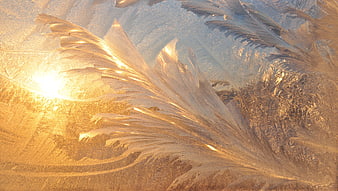 Golden sunlight illuminating intricate frost patterns on a frozen window pane