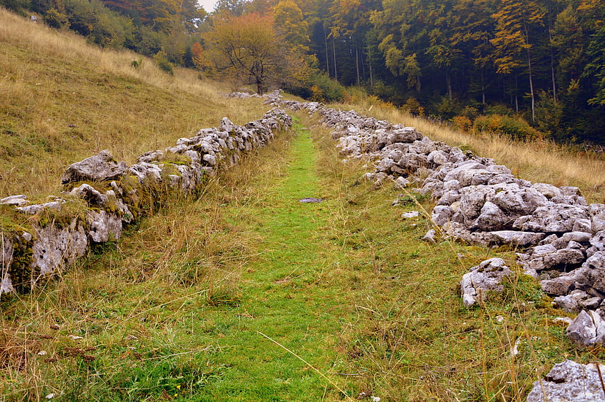 Grassy trail between stone walls in autumn forest landscape